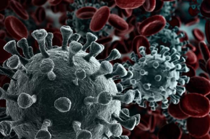 8 chủng virus corona đang lây lan trên toàn cầu