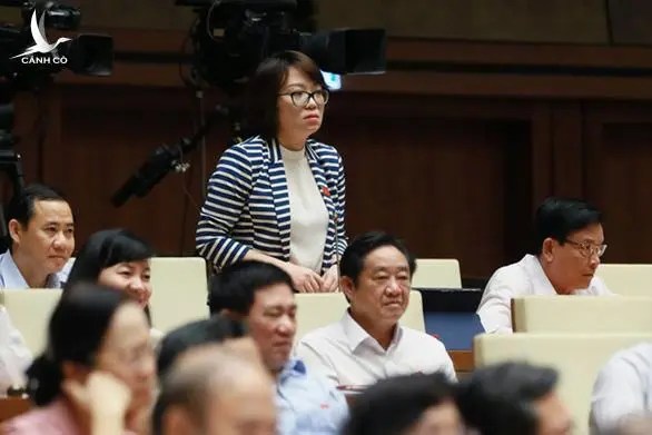 Bà Phạm Thị Minh Hiền không có tên trong danh sách ứng cử Quốc hội khóa mới