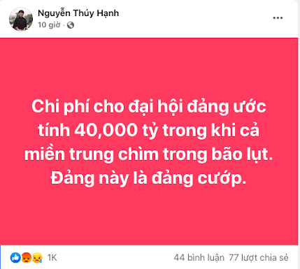 Bao biện cho Nguyễn Thúy Hạnh: Họ đang tự lấy đá ghè chân mình!