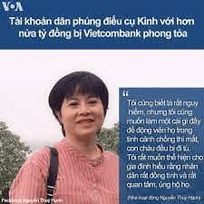 Bao biện cho Nguyễn Thúy Hạnh: Họ đang tự lấy đá ghè chân mình!