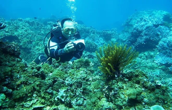 Bảo vệ rạn san hô ở vùng biển Cù lao Chàm