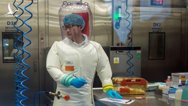 Daily Mail: Nhà khoa học Mỹ và Trung Quốc muốn tạo ra virus Corona mới từ 2018