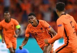 HLV De Boer tin vào khả năng vô địch của Hà Lan