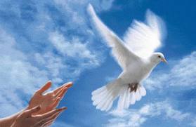 Lạm bàn về “Diễn biến hòa bình”