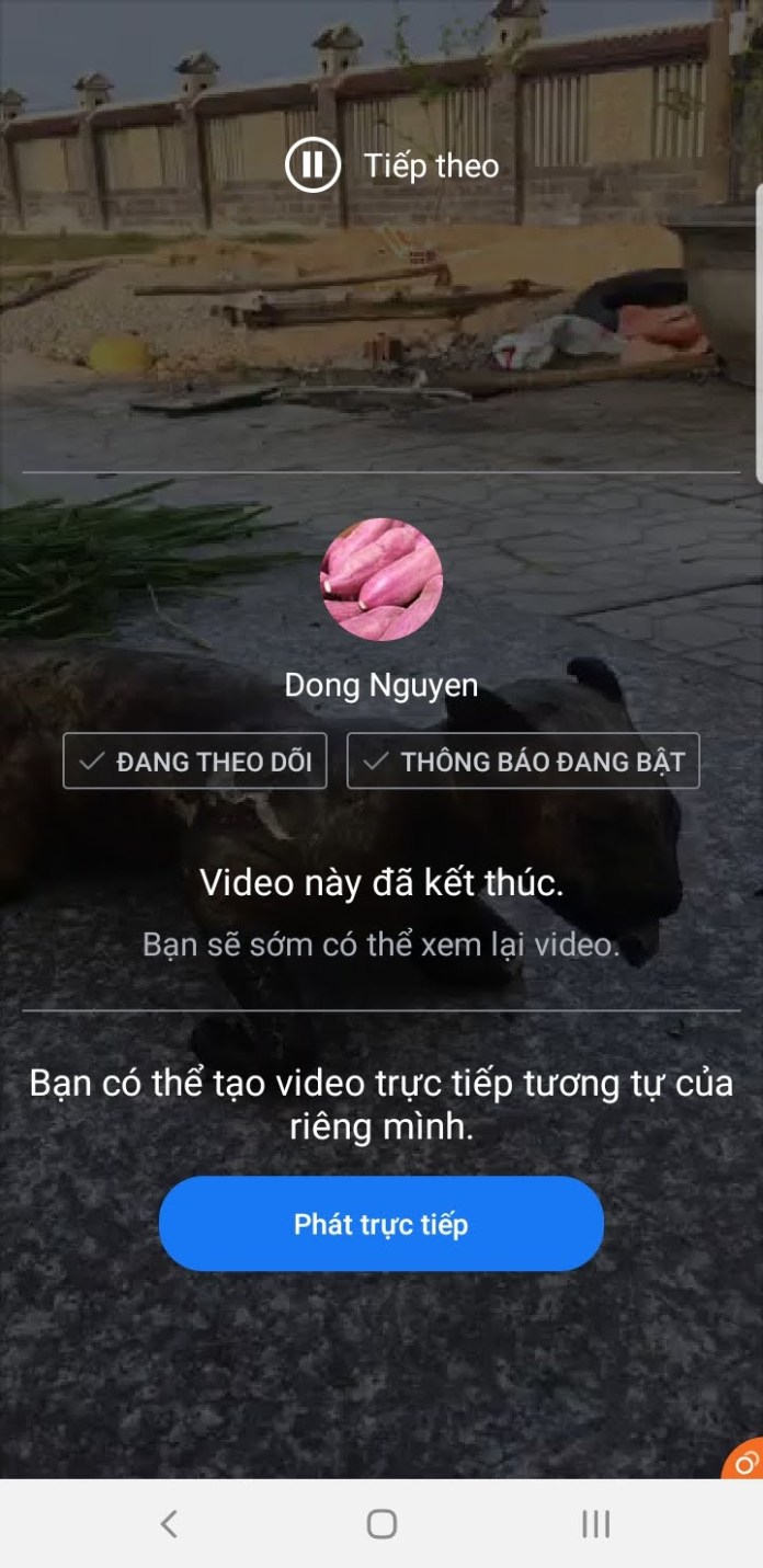 Linh mục quản xứ NHÂN THỌ, Quảng Bình livestream cổ vũ việc giết thịt MÈO