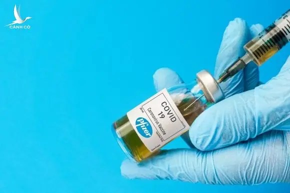 Pfizer chào bán vaccine cho Việt Nam với giá bao nhiêu?
