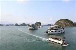 Ra mắt Cổng thông tin du lịch và Ứng dụng 'Du lịch Quy Nhơn - Bình Định'