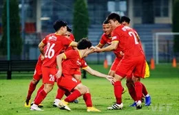 Các tuyển thủ bóng đá Việt Nam bầu cử tại trụ sở VFF