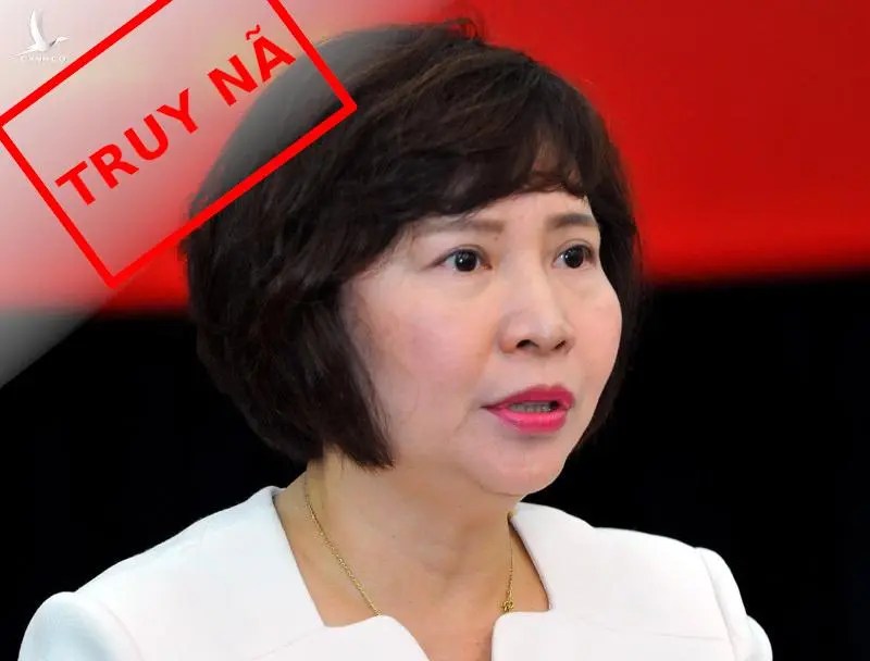 Vì sao đến giờ mới khai trừ Đảng cựu Thứ trưởng Hồ Thị Kim Thoa?