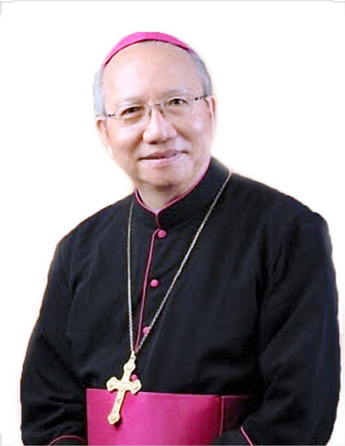 Trách nhiệm của Giám mục Nguyễn Thái Hợp đối với sai phạm của các linh mục tại giáo phận Hà Tĩnh