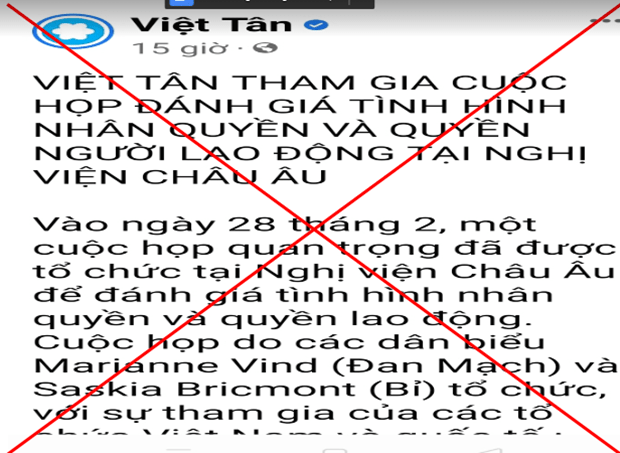 Việt Tân và Trần Đức cố tình bóp méo vấn đề nhân quyền ở Việt Nam