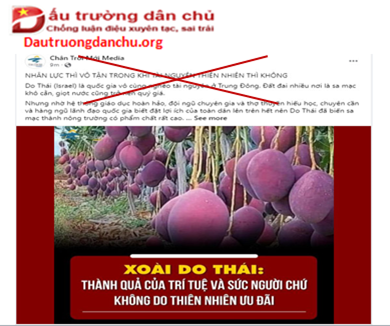 Con mắt so sánh kiểu ếch ngồi đáy giếng của Chân Trời Mới Media