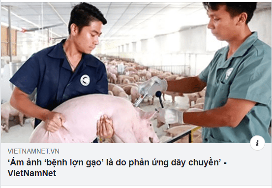 Ai giết nông dân bằng những lời đồn?