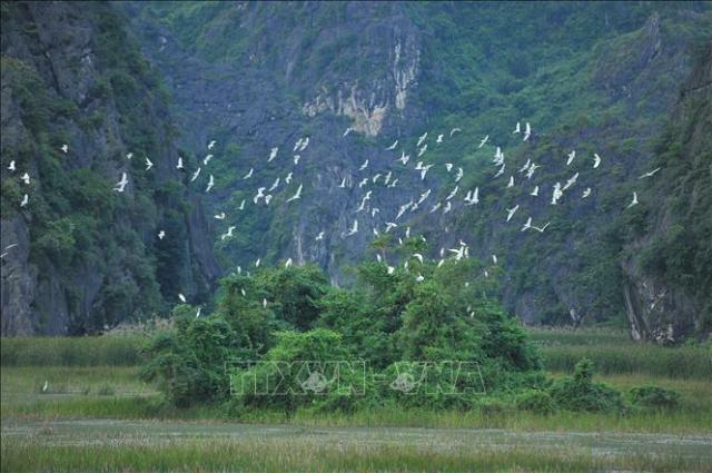 Bảo tồn sinh học gắn với phát triển du lịch bền vững - Bài 1: Vì một 'Ninh Bình xanh'