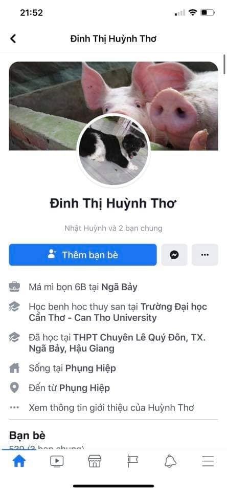 Bắt tạm giam Đinh Thị Thu Thủy