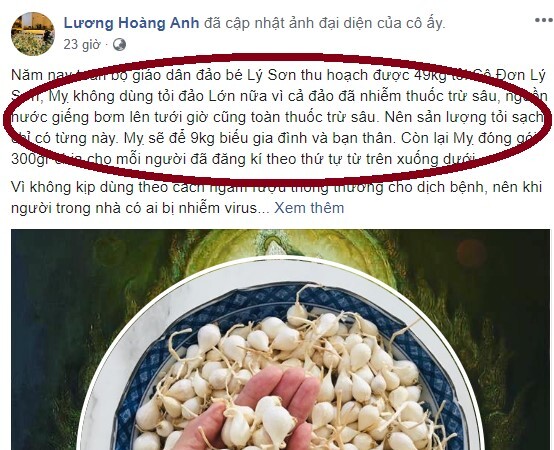 Bỏ điêu toa đi mà làm người, chị Lương Hoàng Anh ạ