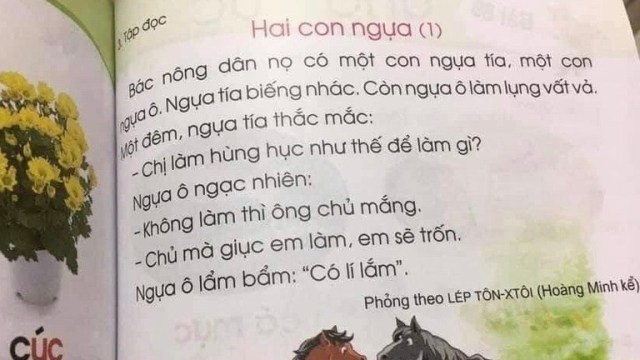 Bốn làn, Chim và Bướm