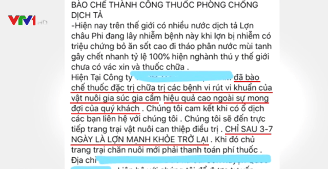 Cảnh giác chiêu quảng cáo chữa được dịch tả lợn châu Phi