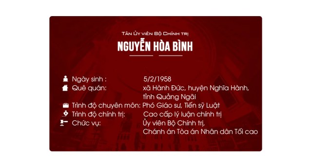 Chân dung tân Ủy viên Bộ Chính trị Nguyễn Hòa Bình