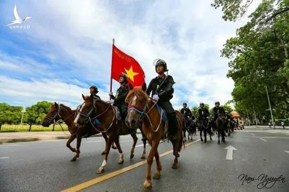 Chớ trông vóc ngựa mà phán bừa, nhỏ mà có võ đấy! 