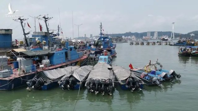 Có tình trạng người Trung Quốc nhập cảnh bằng xuồng cao tốc trái phép ở Quảng Ninh