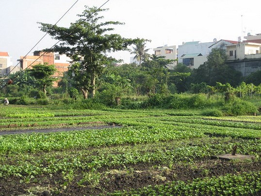 Cư dân Lộc Hưng đang tự đẩy mình vào thế đường cùng (kỳ 1)