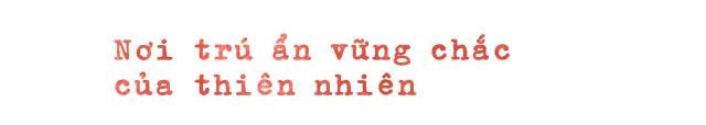 Cuộc chiến vệ quốc 1979 và cái chết của phóng viên Nhật Takano