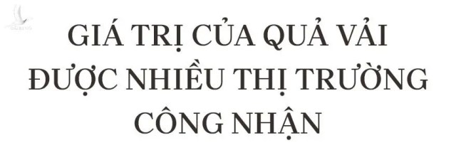 Cuộc gọi chỉ đạo lúc 1h sáng của Thủ tướng Phạm Minh Chính cho Bí thư Bắc Giang