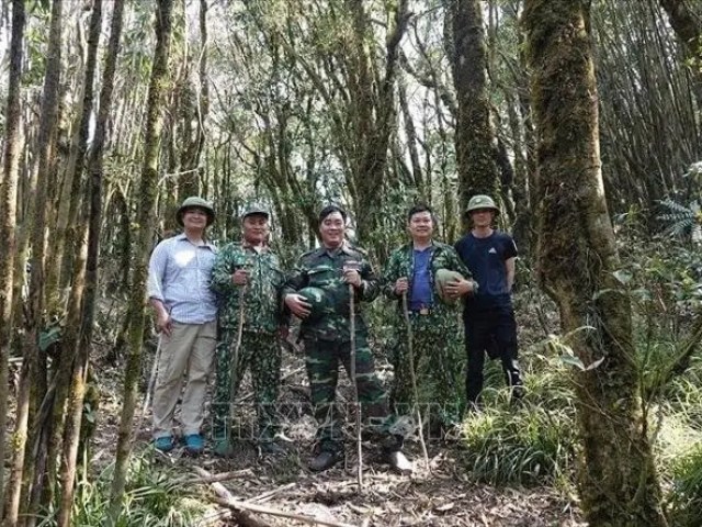 Đỉnh Lùng Cúng - điểm du lịch trải nghiệm hấp dẫn ở Yên bái