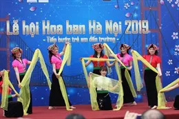 Điện Biên không tổ chức Lễ hội Hoa Ban