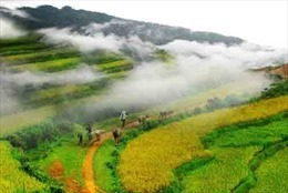 Du lịch an toàn luôn là mục tiêu hàng đầu trong điều kiện bình thường mới