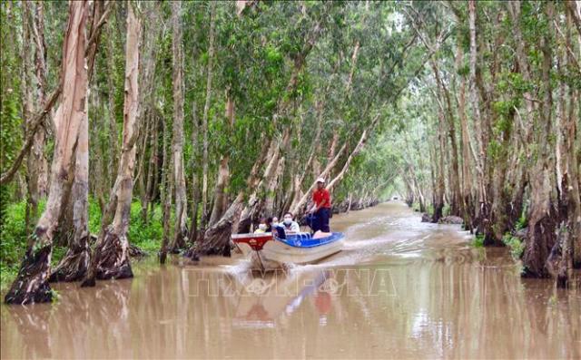 Đưa rừng tràm Trà Sư (An Giang) thành điểm du lịch quốc tế