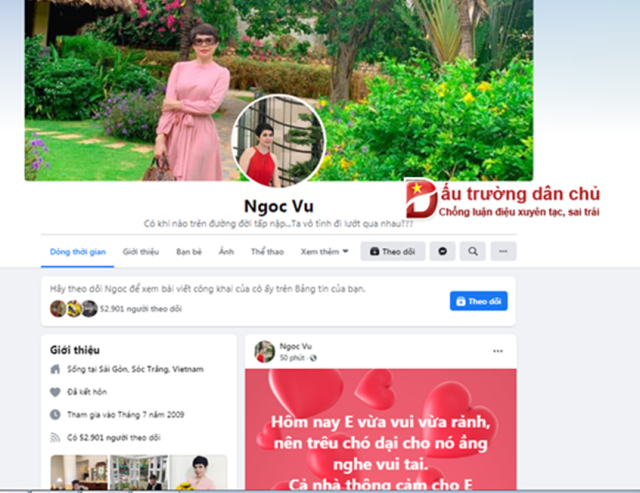 Facebook 'Ngoc Vu' là ai?