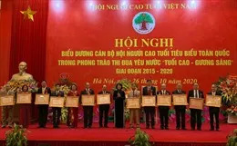 Gần 200 VĐV tranh tài tại Hội thi bơi truyền thống trung, cao tuổi toàn quốc