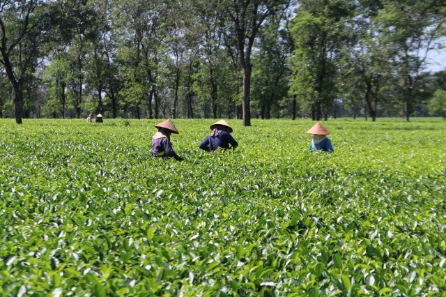 Gia Lai phát huy tiềm năng du lịch bản địa