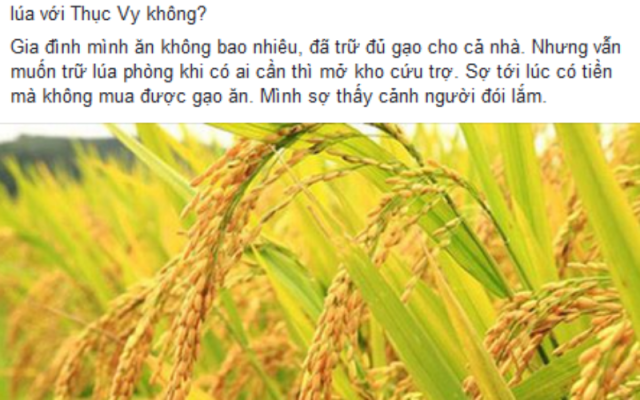 Giới dân chửi kêu gọi tích trữ lúa gạo: giúp dân hay hại dân?