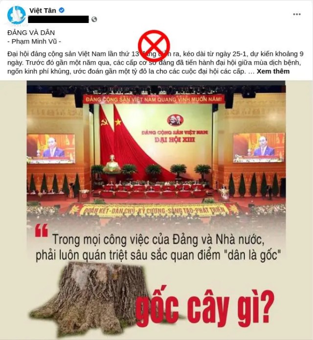 “Gốc cây gì” cho những bản sao của Madame Nhu?