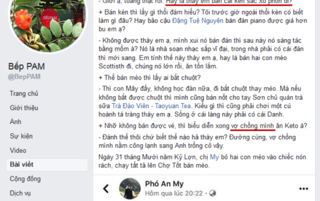 Green Trees, Phó An My và “Tỉnh” (Kỳ 1): Quan hệ giữa Phó An My và Đặng Vũ Lượng