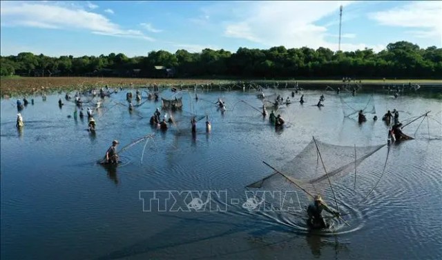 Hội 'phá trằm' ở Quảng Trị