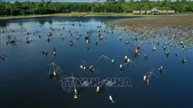 Hội 'phá trằm' ở Quảng Trị