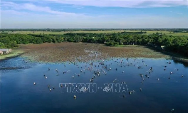 Hội 'phá trằm' ở Quảng Trị