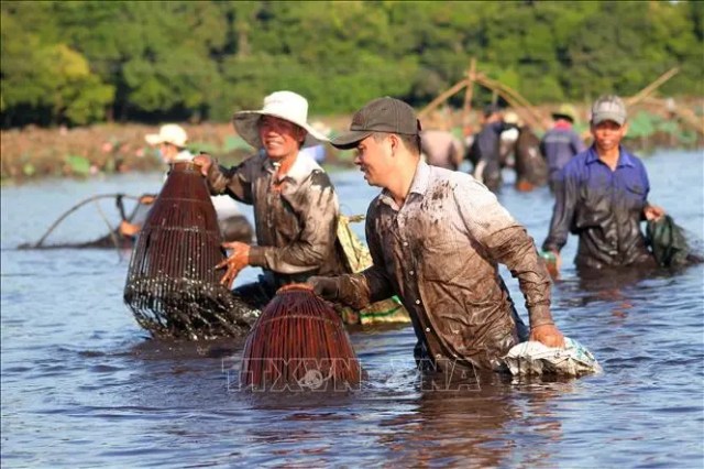 Hội 'phá trằm' ở Quảng Trị