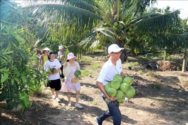 Khai thác tiềm năng phát triển du lịch Hàm Thuận Nam, Bình Thuận