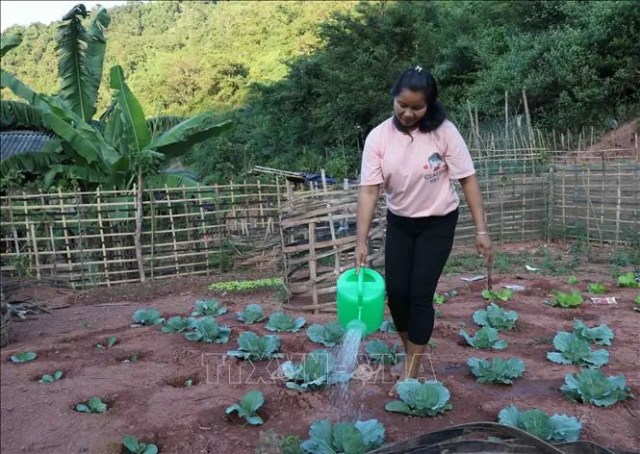 Khám phá tiểu vùng văn hóa của cộng đồng dân tộc Cống bên dòng Nậm Chả