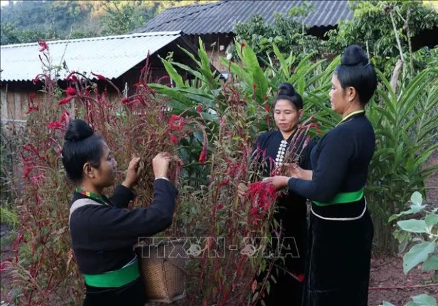 Khám phá tiểu vùng văn hóa của cộng đồng dân tộc Cống bên dòng Nậm Chả