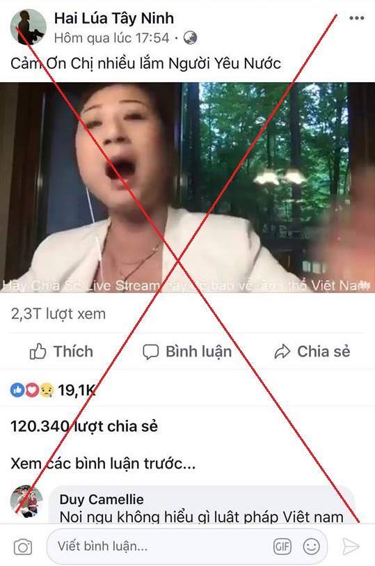 Khi người Việt biểu tình vì tính “bầy đàn”