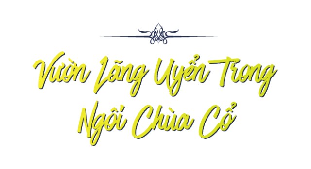 Kỳ bí dấu Chăm, những công trình bí ẩn với bao thế hệ