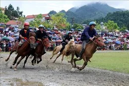 Lần đầu tiên Bắc Hà (Lào Cai) tổ chức Lễ hội mùa đông 'Vũ điệu cao nguyên trắng'