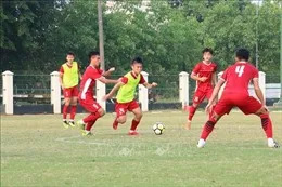 Lùi thời gian tổ chức FIFA World Cup U20 tại Indonesia đến năm 2023