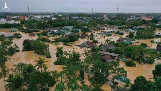 Một năm Việt Nam cho đi và nhận lại